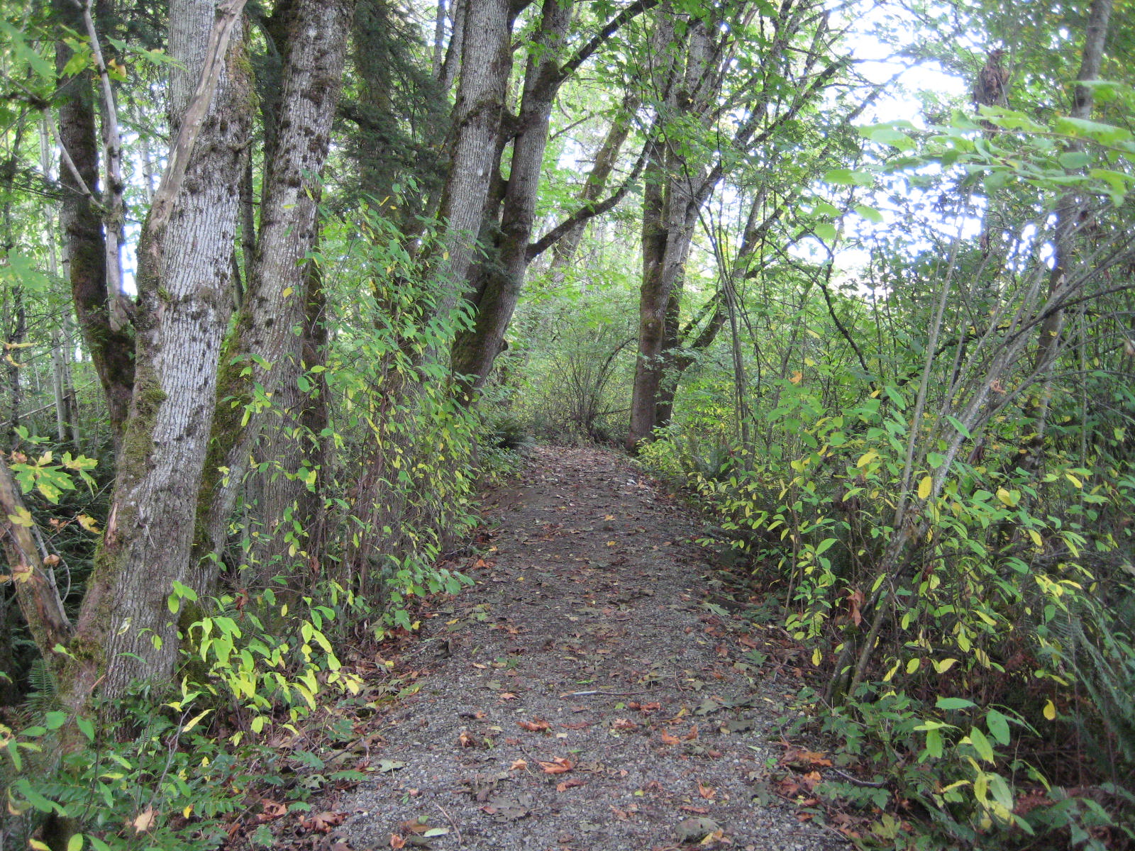 bike trails old train tracks