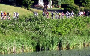 STP cyclists rolling along Lake Washington in 2011.