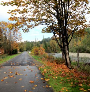 Improved section of Cedar River Trail