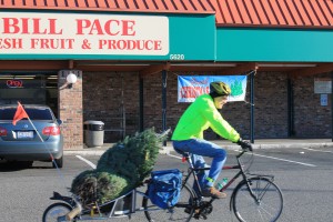 Rolling past Bill Pace market with my Christmas tree