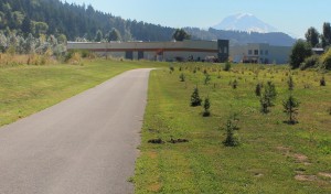 Mount Rainier can be seen behind industrial park on Sumner Link Trail