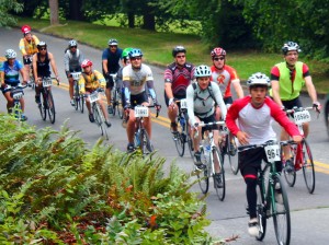 STP cyclists on Lake Washington Boulevard, 2012