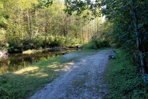 Beaver pond at Taylor Mountain Forest