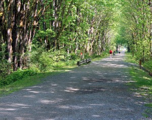 Wooded Snoqualmie Valley Trail  in Carnation