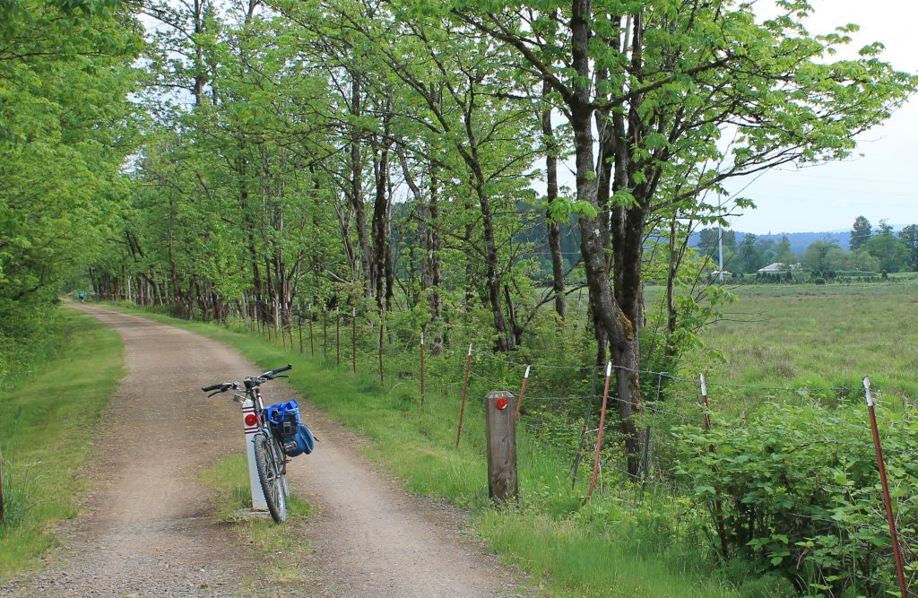 A scene on Snoqualmie Valley Trail heading south