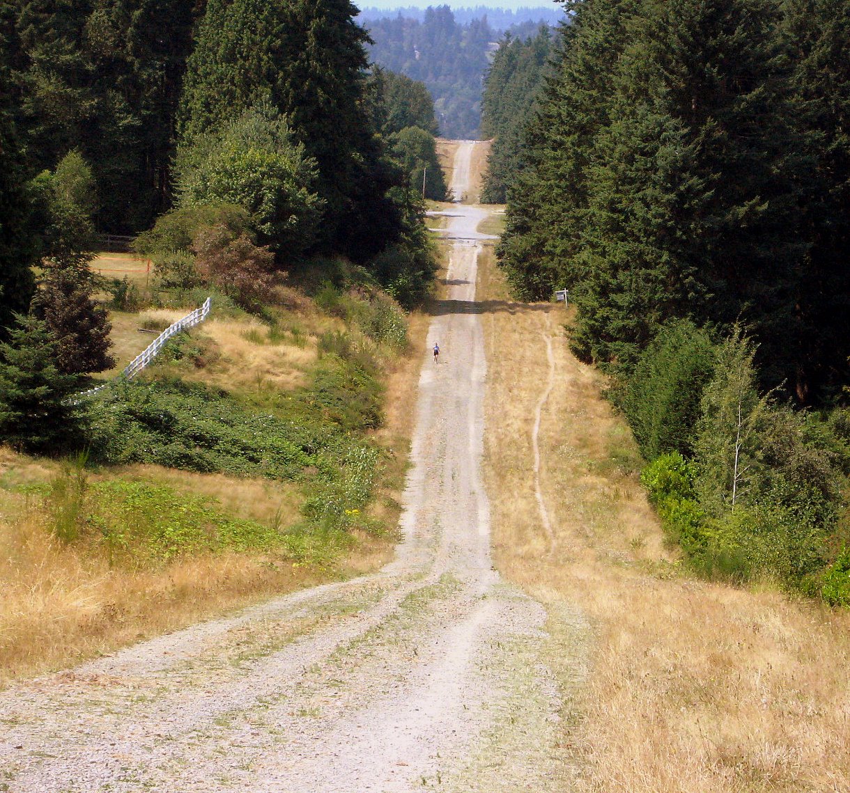 Rolling along Tolt Pipeline Trail – Biking Bis